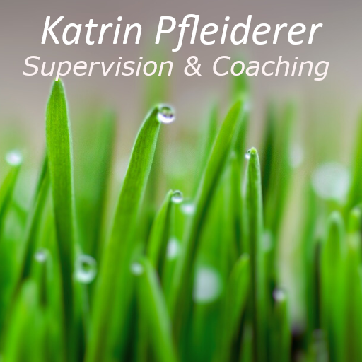 Katrin Pfleiderer Supervision und Coaching